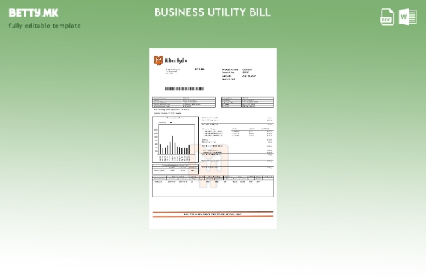 Модерен стил Canada Milton Hydro Electricitybusiness шаблон за комунални сметки